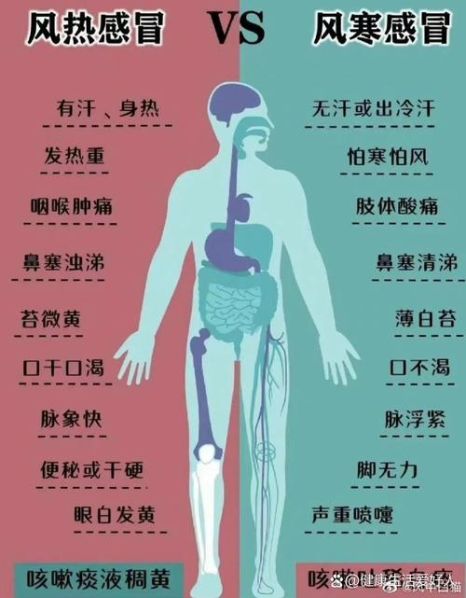 风寒感冒和风热感冒的区别与用药 一招辨别风寒和风热