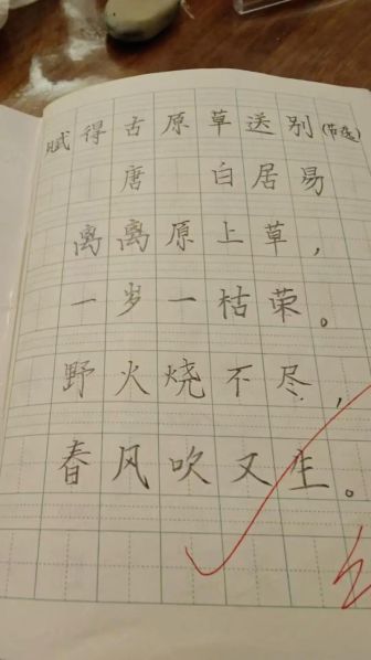 有效练字的方法和技巧小学生图片 小学生如何练字又快又好