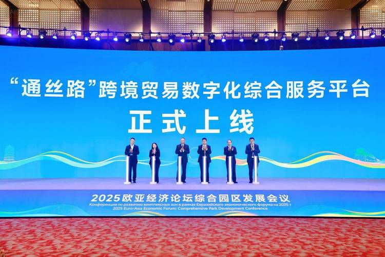 湖州跨境b2c一站式代运营网站，童装产业出海代运营官方合作