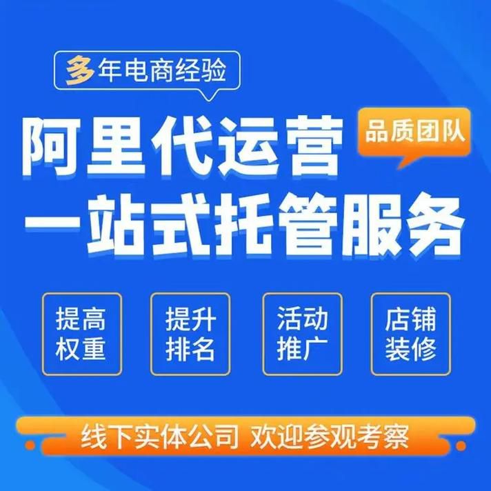嘉兴跨境b2c平台一站式代运营,箱包服装产业出海一站式托管