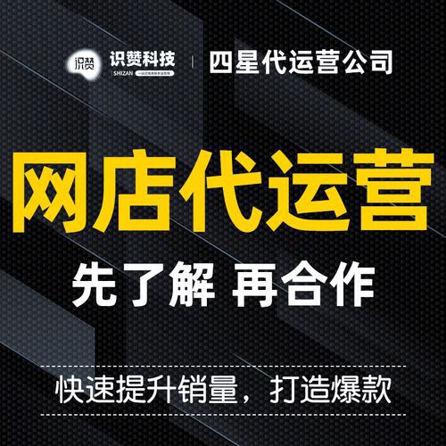 丽水跨境b2c一站式代运营价格，特色产业带低成本出海解决方案