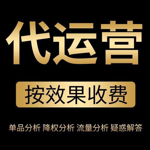 温州跨境b2c一站式代运营价格表，无隐形消费附真实提升案例