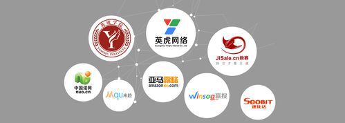 嘉兴跨境b2c一站式代运营公司哪家实力强，实地考察口碑评价