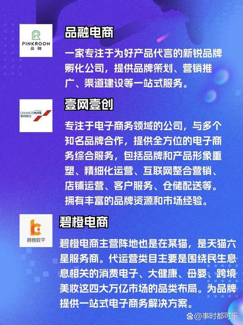 上海b2c电商平台一站式代运营公司排名,高端品牌电商代运营榜单